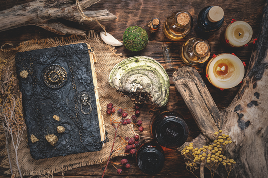Welcome to The Alchemist's Journal