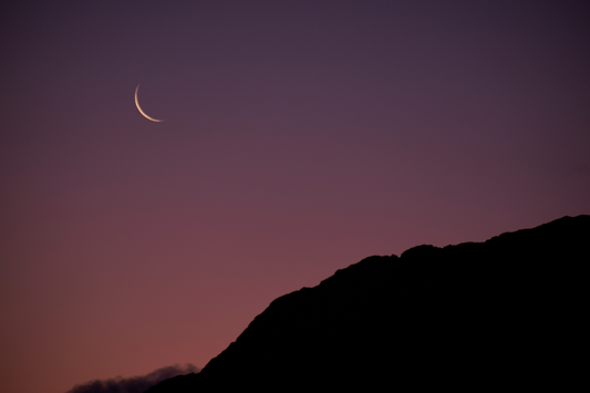 Herbs for the New Moon in Gemini