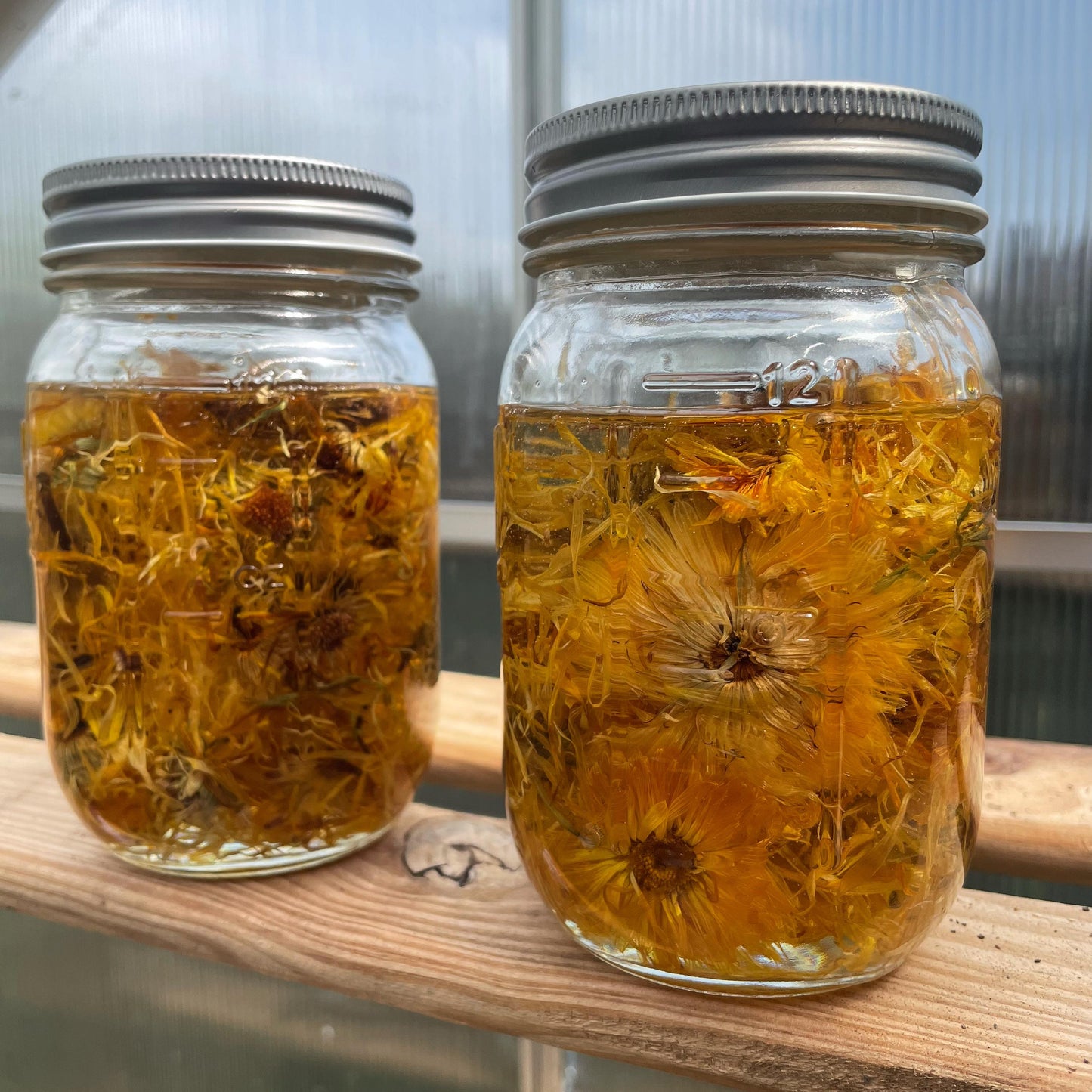 Solar Power Calendula Oil