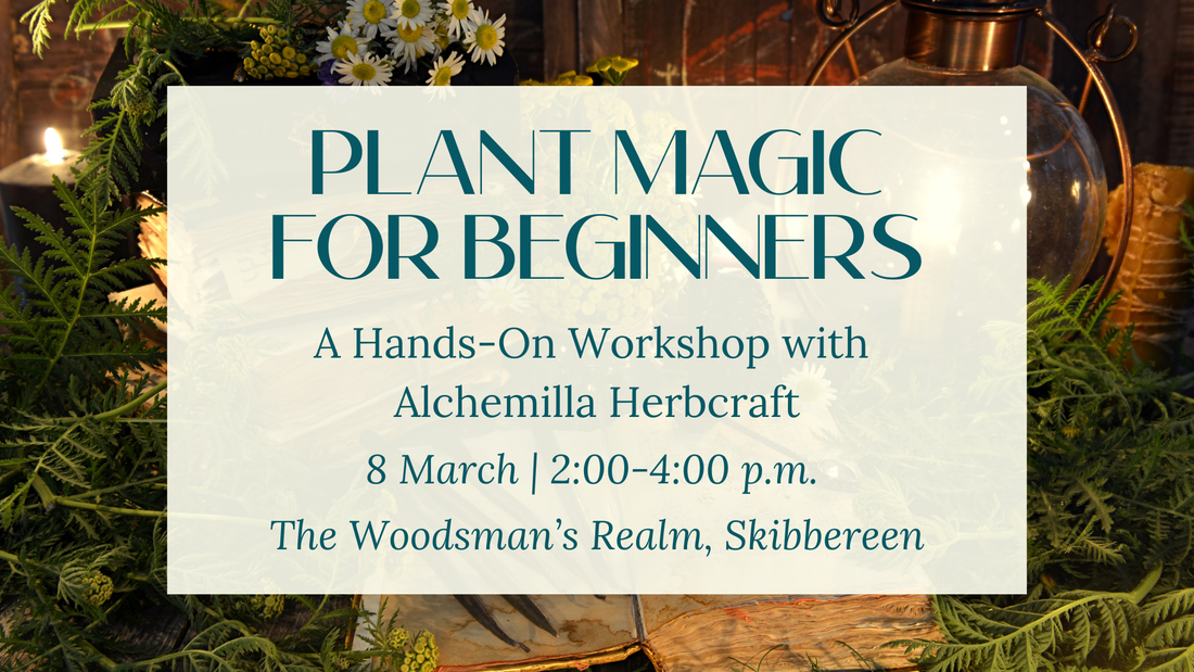 Celebrate International Women's Day with Plant Magic