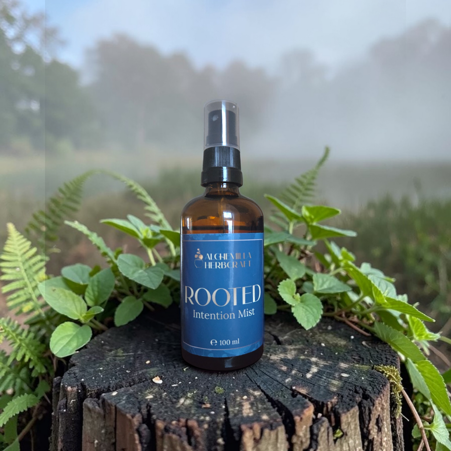 Grounding & Protection