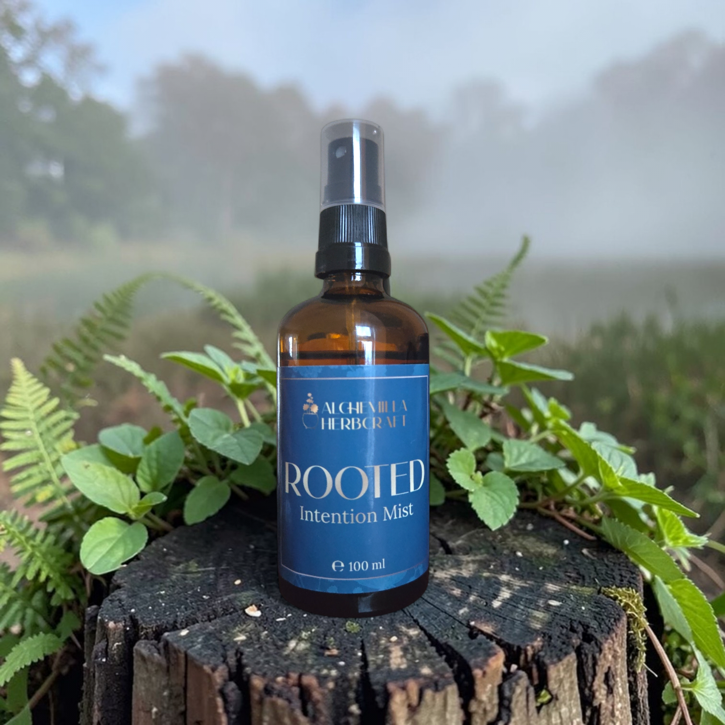 Rooted Intention Mist - Grounding Patchouli, Spruce & Cedarwood